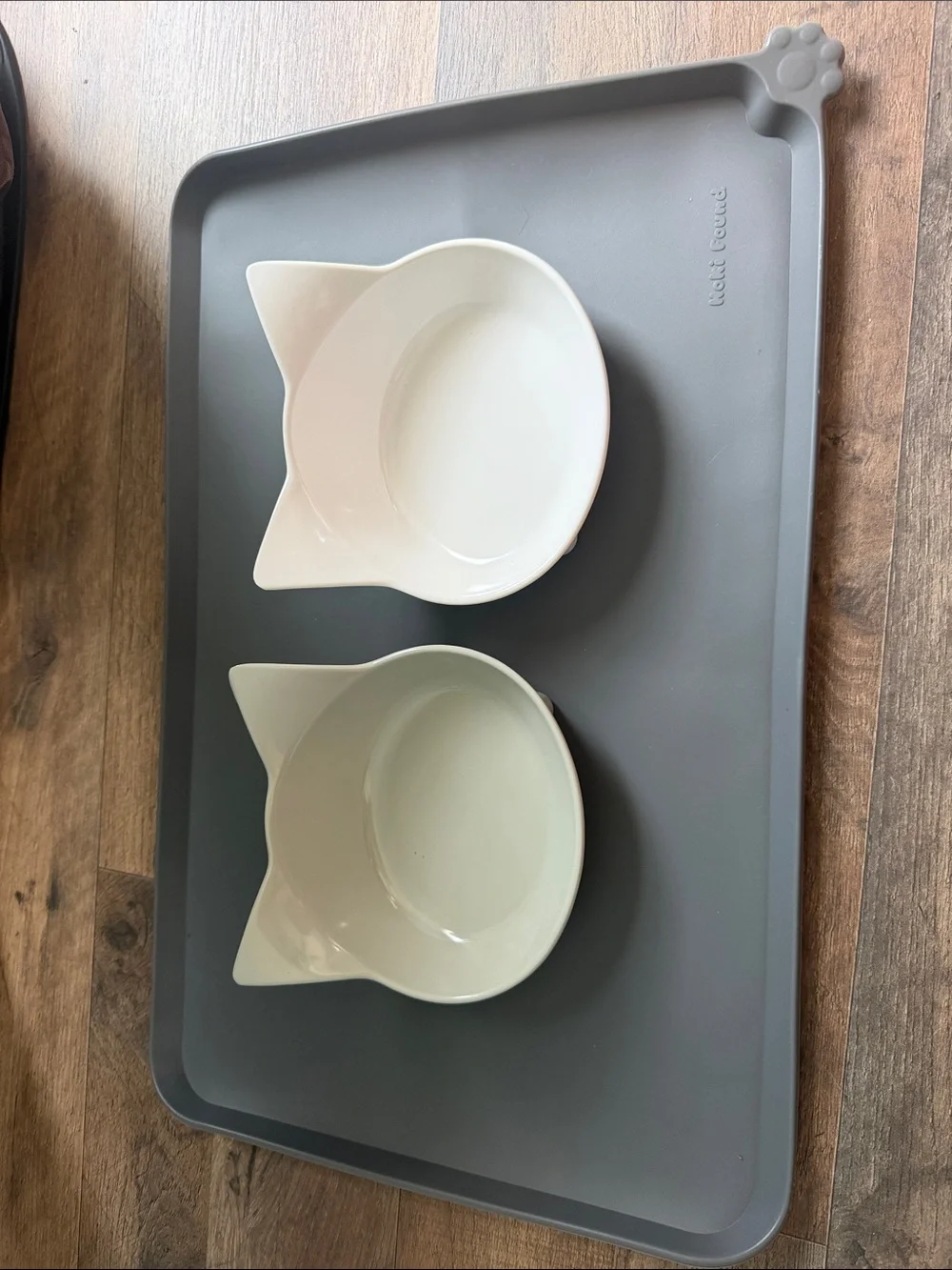 Cat Food and Water bowl with mat